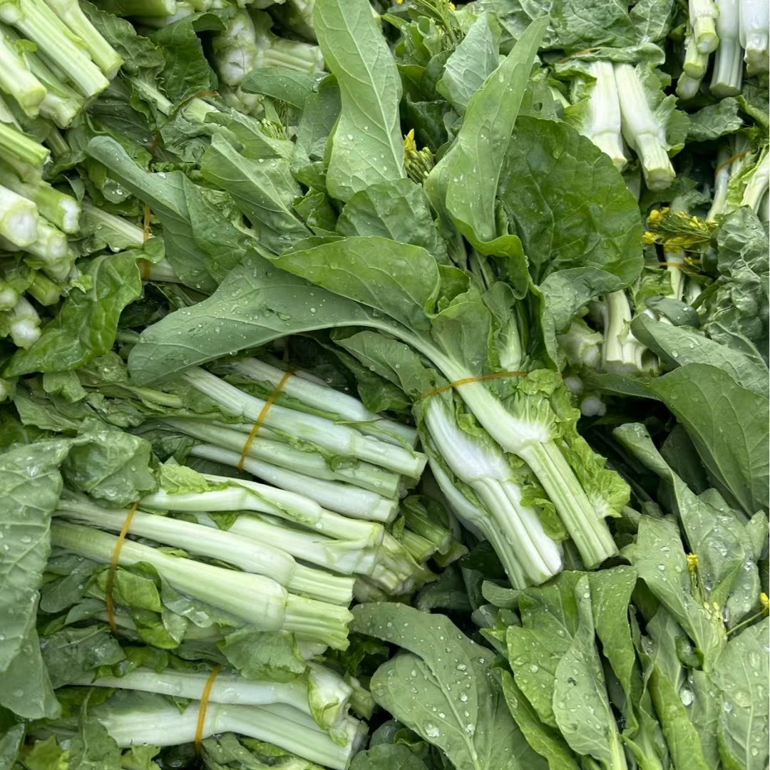 贵州高山农家白菜苔（低温地区专属链接）