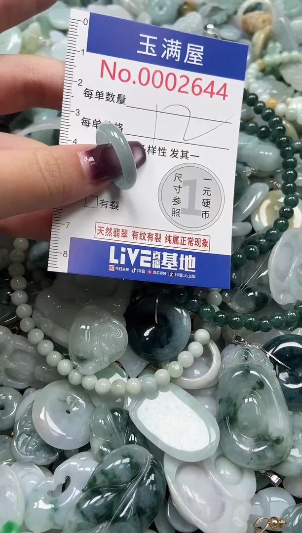 颈饰未镶嵌翡翠2644