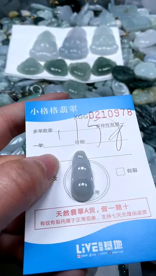 【闪购商品】翡翠颈饰未镶嵌闪购商品0210978