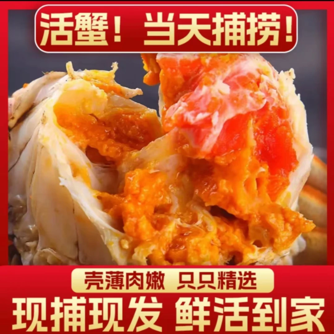 【江苏精品活蟹】全母蟹3.2-2.8两6只送4只到手10只礼盒装冷链发货