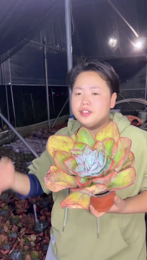 美国蓝光3.99