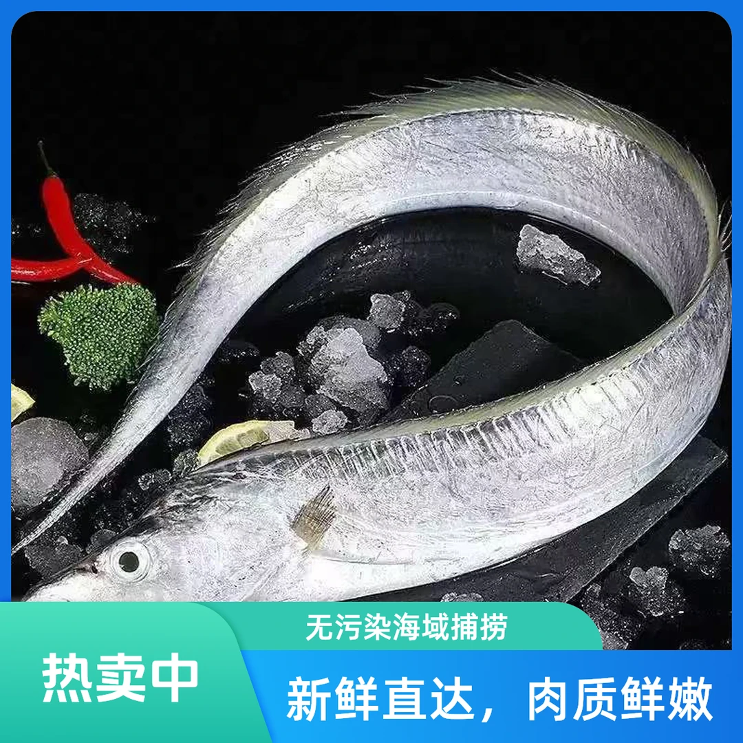 渤海湾冰鲜带鱼 约200g/条