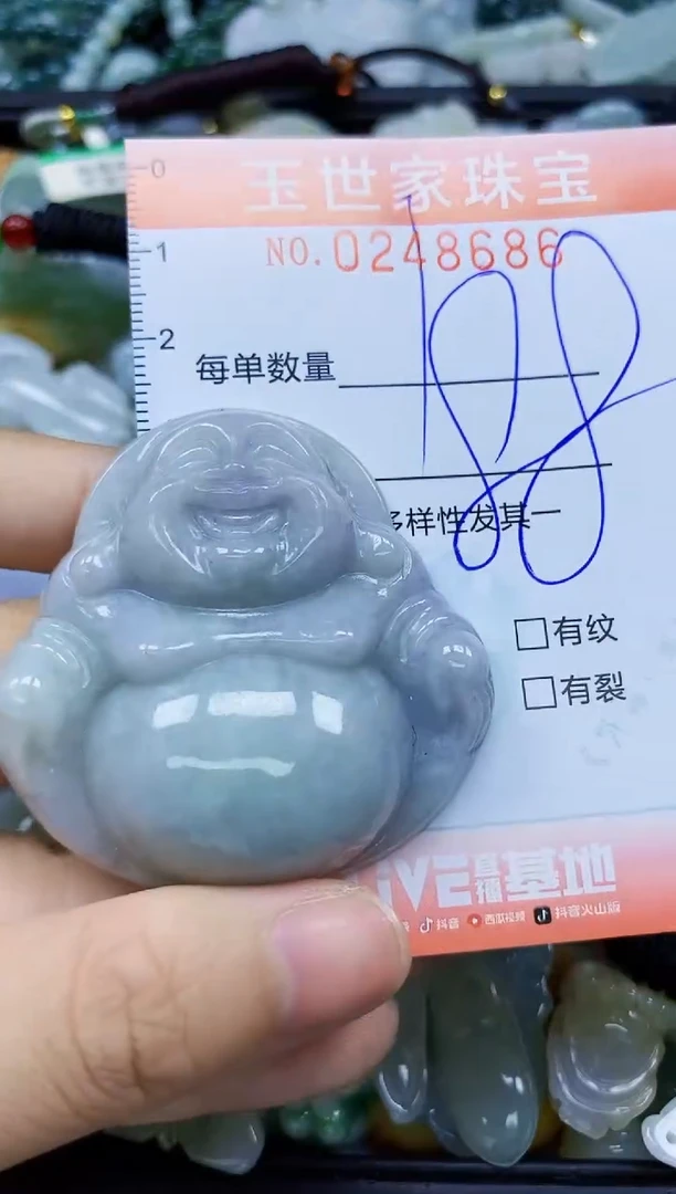 翡翠未镶嵌颈饰闪购0248686