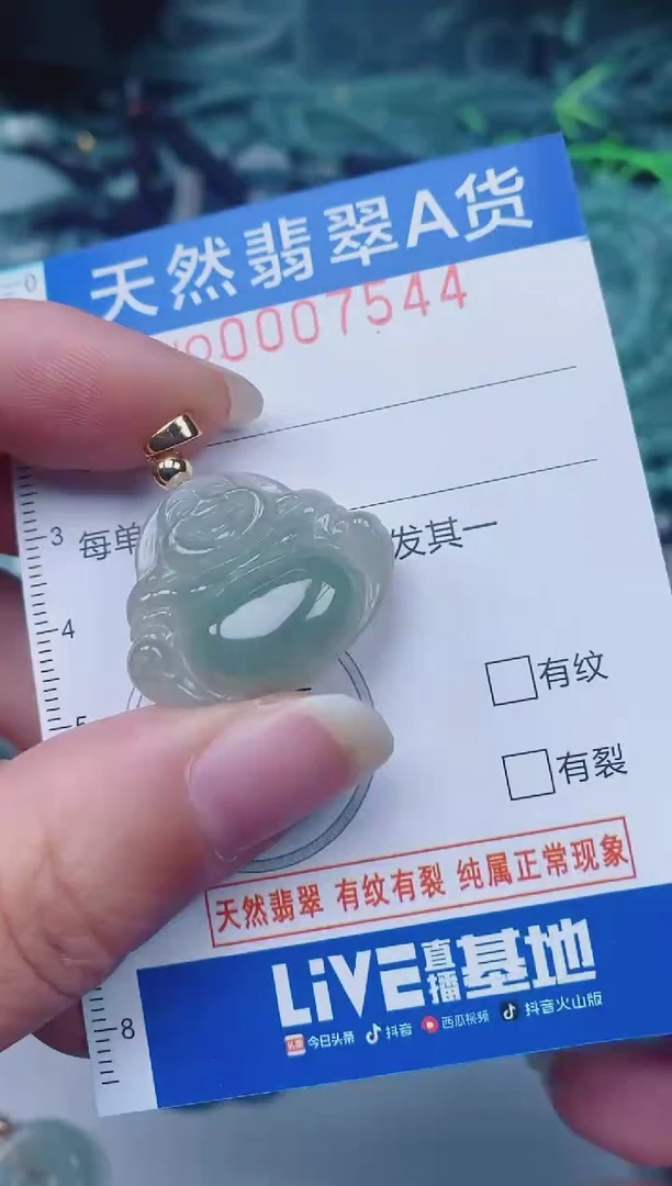 颈饰未镶嵌翡翠00007544