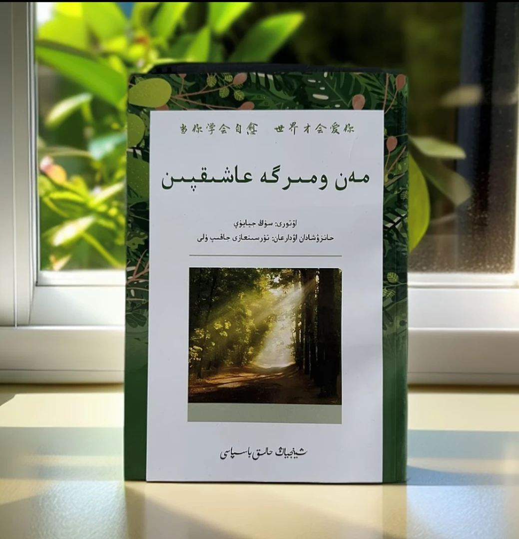 当你学会自愈，世界才会爱你（哈萨克文）