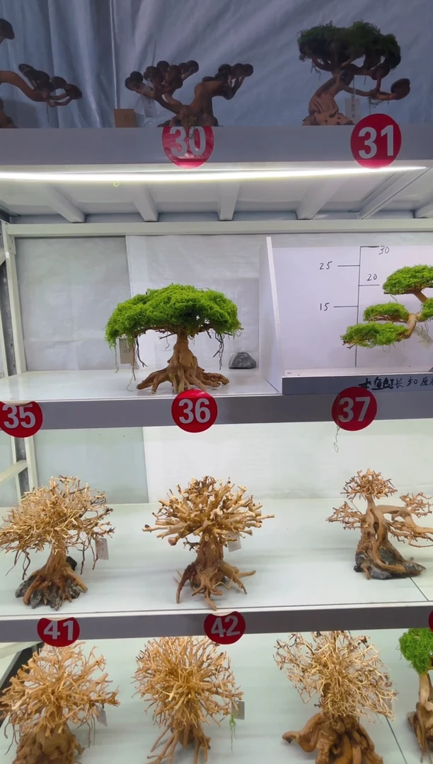 造景树造景树造景树造景树