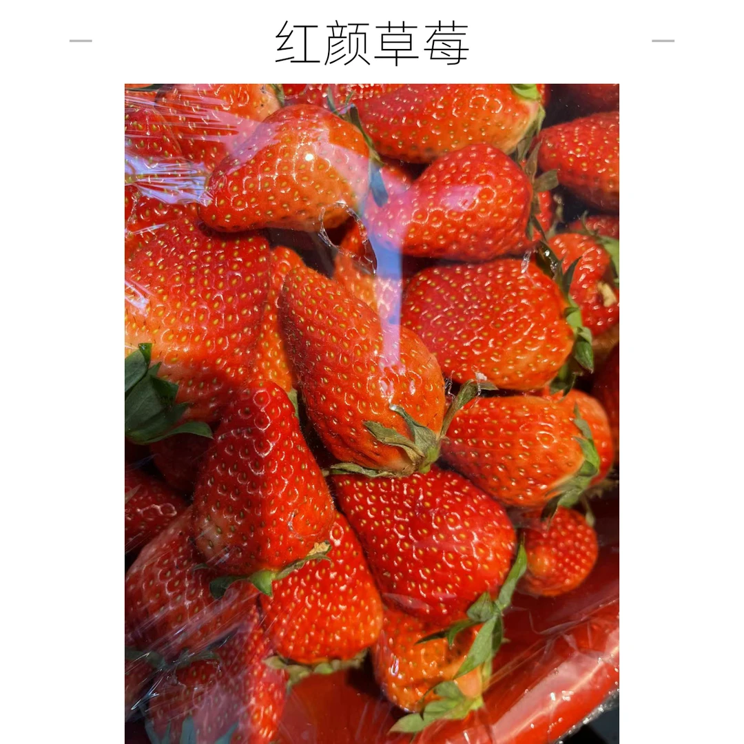 红颜草莓（香甜可口，25元2斤）99红颜布基纳法索