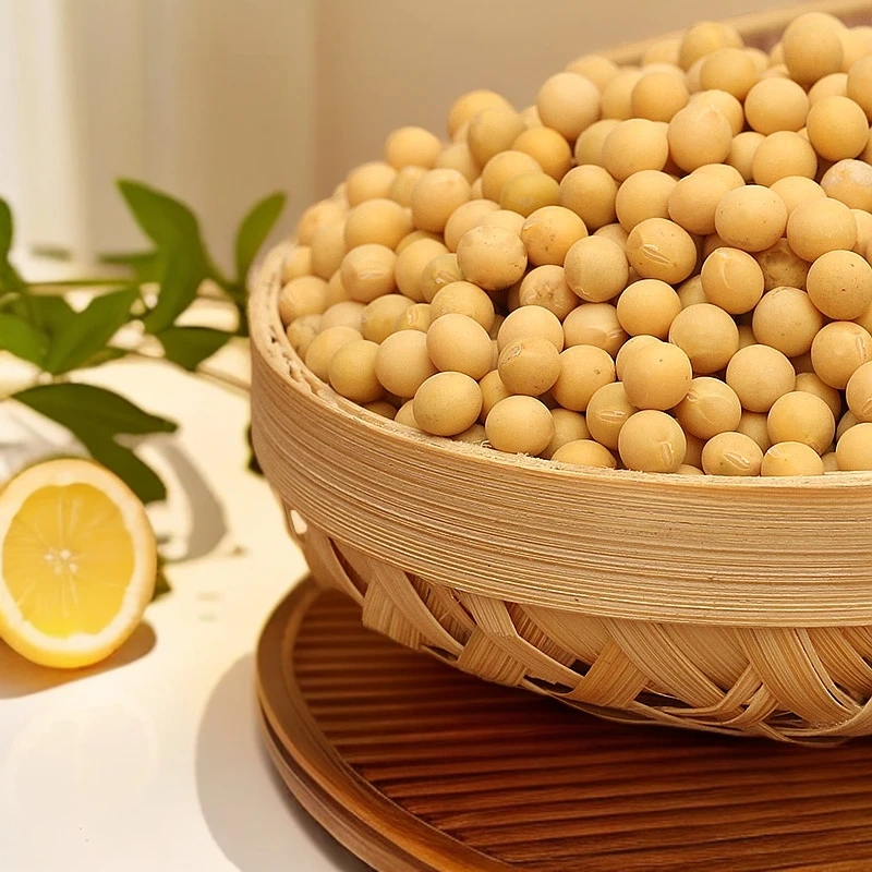 农家黄豆打豆浆生豆芽煮粥煲汤