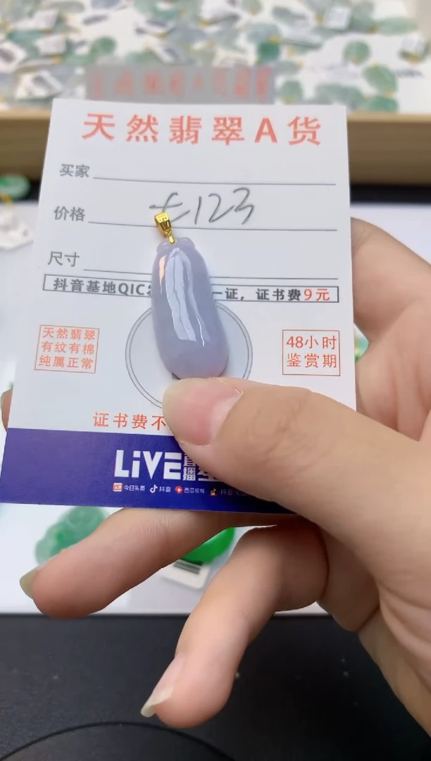 颈饰未镶嵌翡翠天然缅甸A货翡翠