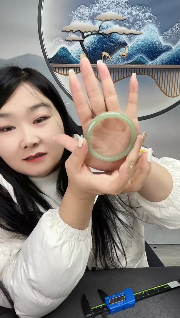 未镶嵌密玉绿镯子密玉（石英质玉）一****聊一帆风顺