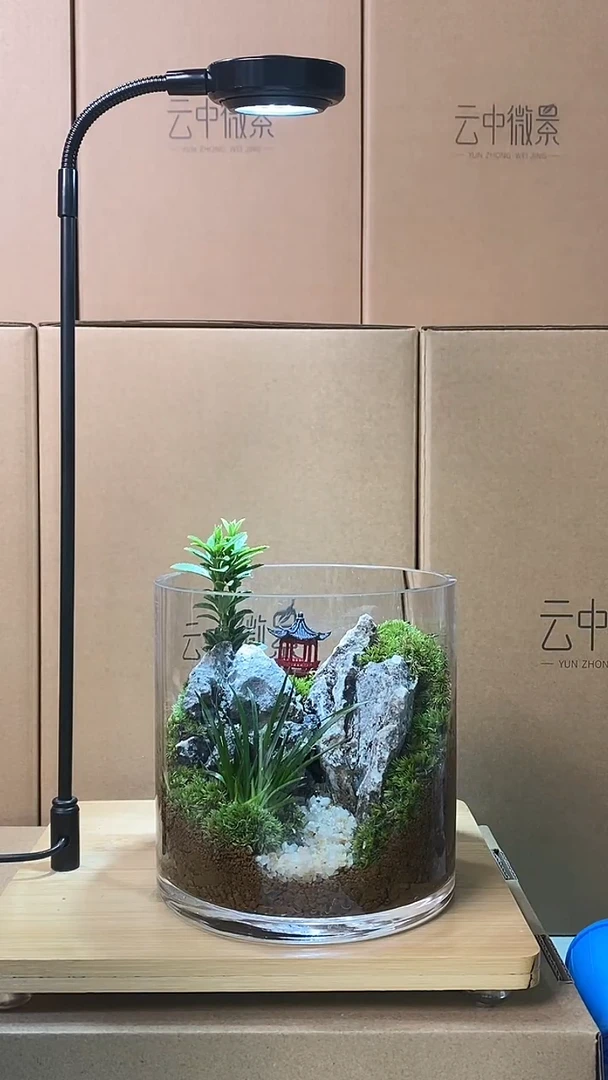 【闪购商品】孤品小圆缸微景观