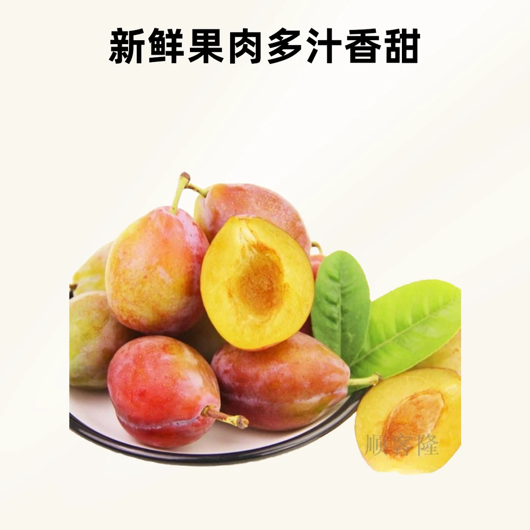 【小时达】伽师法兰西西梅爆汁甘甜！整箱配送！嘎嘎甜！嘎嘎鲜！