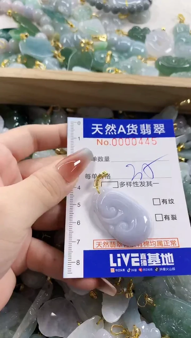 颈饰未镶嵌翡翠天然A货翡翠