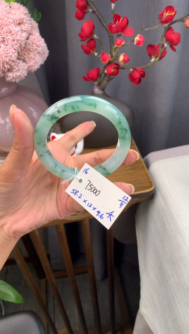 未镶嵌手镯翡翠W****y假一赔三 手镯