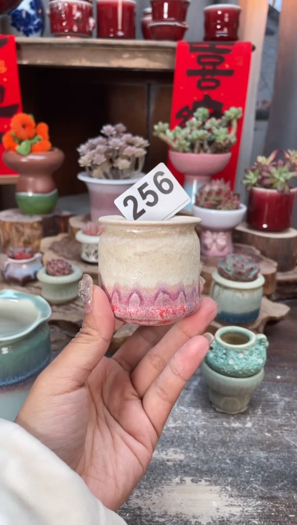 【闪购商品】摆件256知木小芳花盆