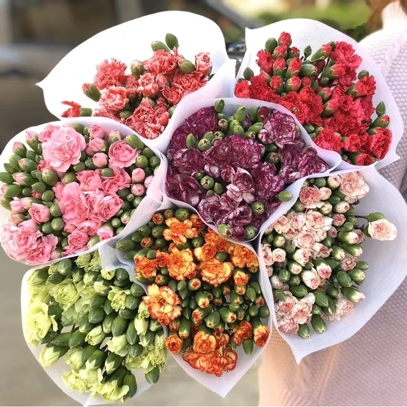 【家居花&瓶插花】多头康乃馨   颜色可选 襄阳人民广场5公里包配送