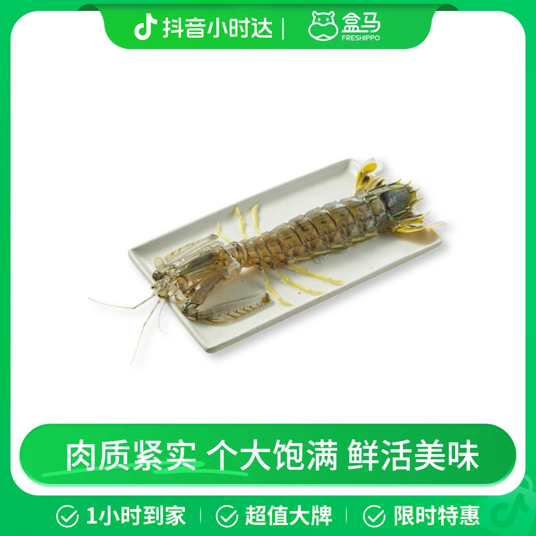 鲜活 进口手掌大富贵虾 100-150g/只