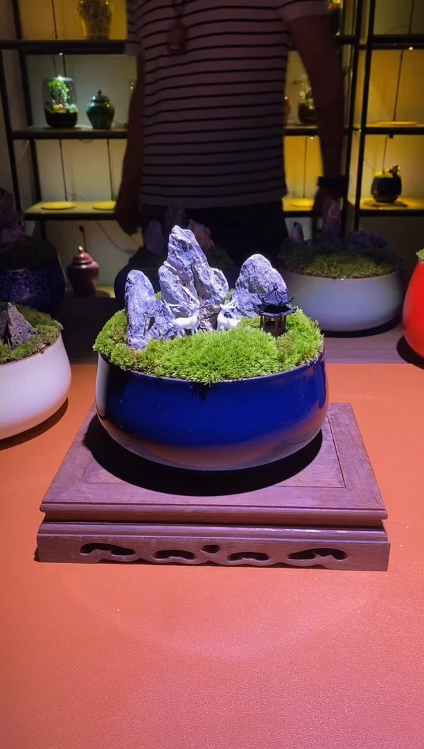 吉鑫福利精选福力