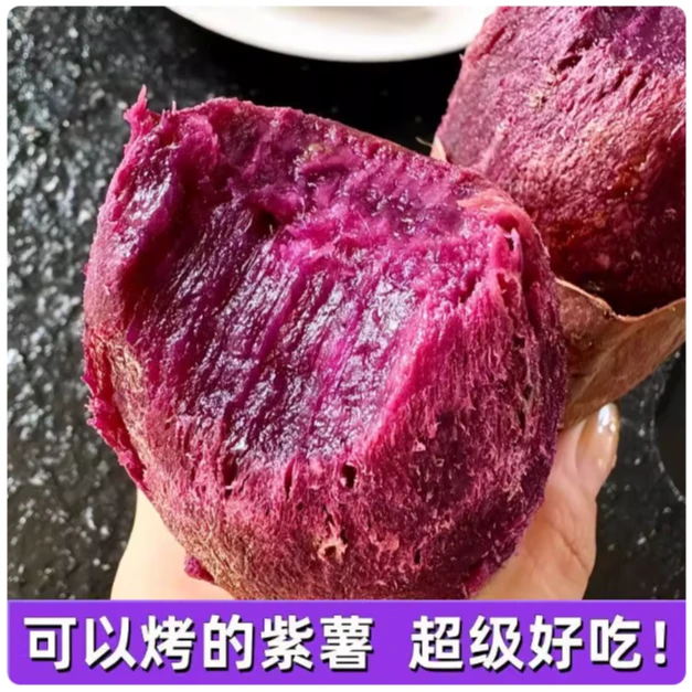 黑美人紫薯云南高原紫薯糖心紫薯软糯香甜不干噎粗粮紫薯新鲜现挖