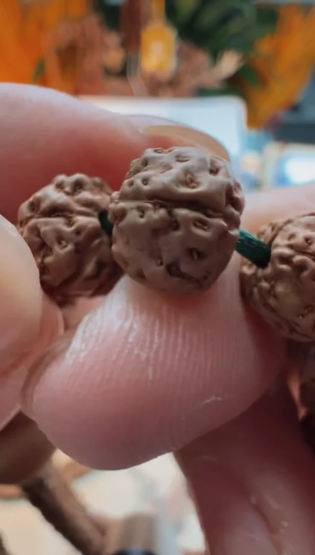 吊坠金刚菩提810老树南瓜 尺寸9-10mm