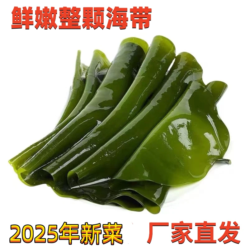 【秀玲专属】鲜嫩盐渍整颗海带 净重4.6斤 少盐