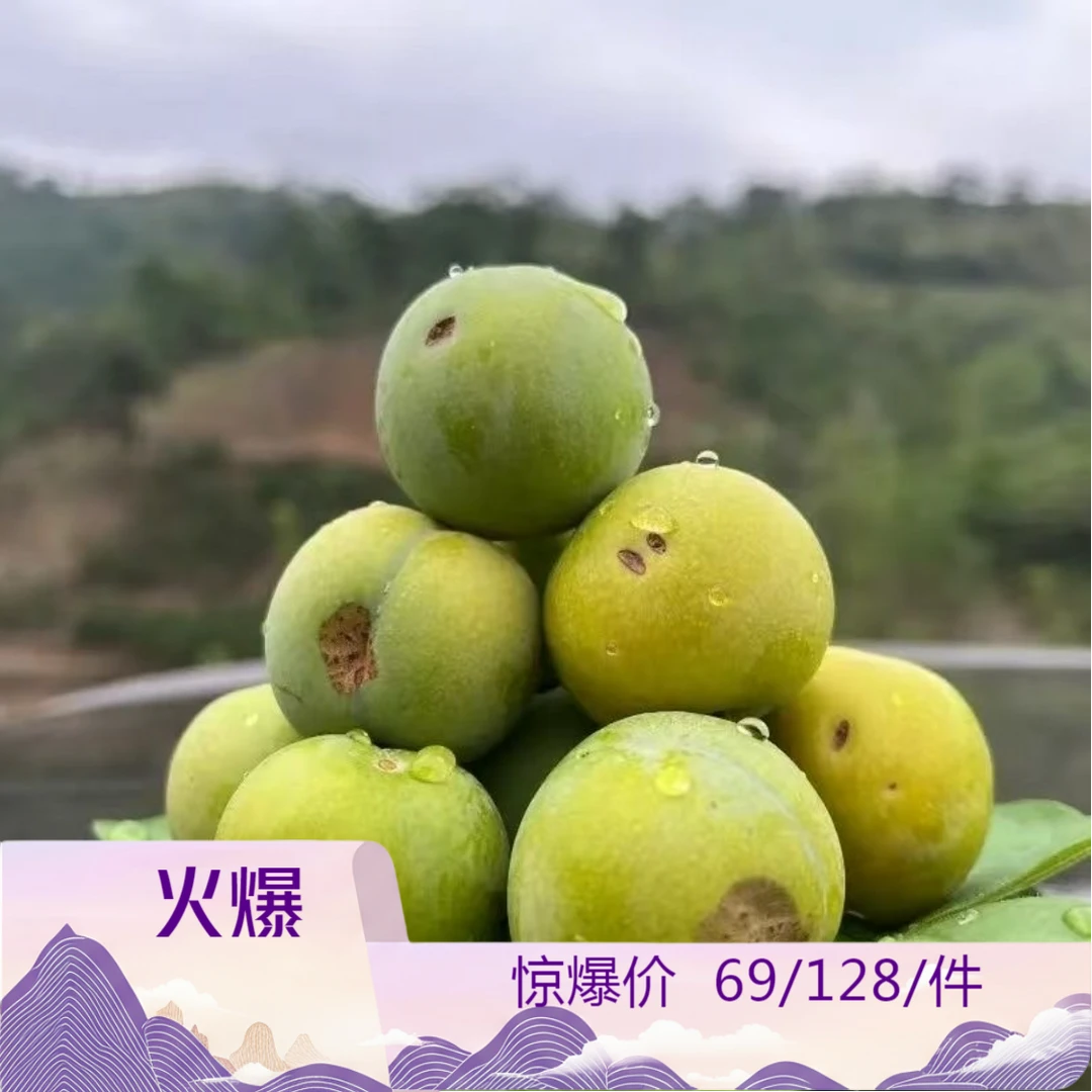 (十年老树)正宗贵州镇宁首家六马蜂糖李基地直发新鲜瑕疵果