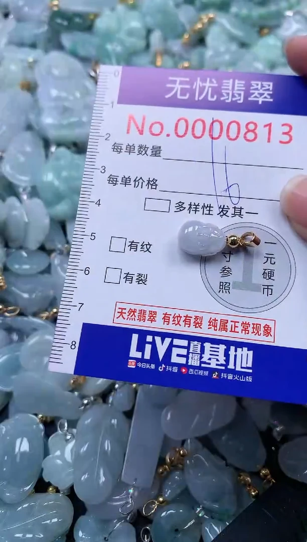 颈饰未镶嵌翡翠813