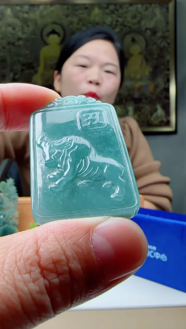【闪购商品】翡翠颈饰未镶嵌多样性随机发其一