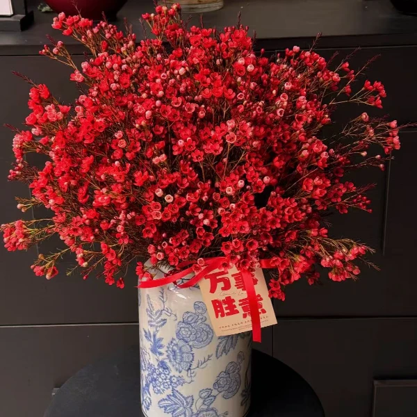 鲜花【红色腊梅 送花瓶】同地址两单以上顺丰/德邦+送10包保鲜剂