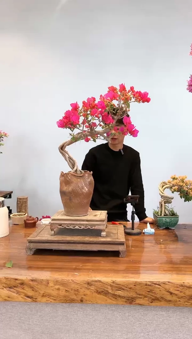 【闪购商品】aa912