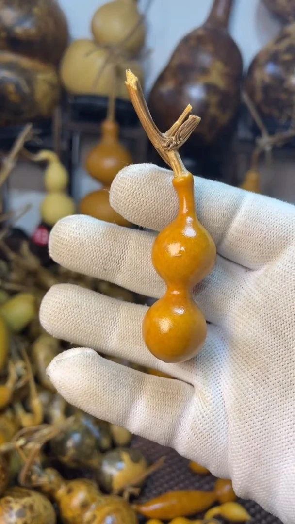 【闪购商品】葫芦葫芦葫芦葫芦