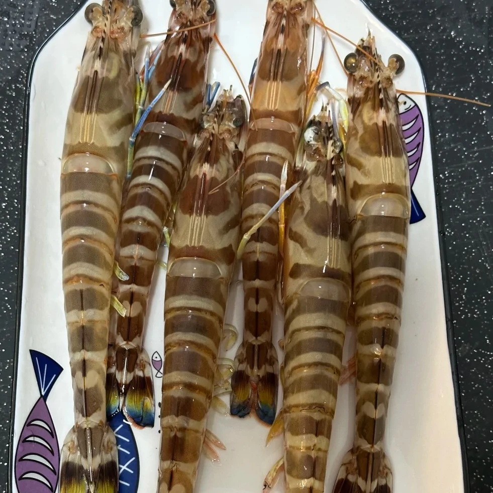 冰鲜九节虾一斤