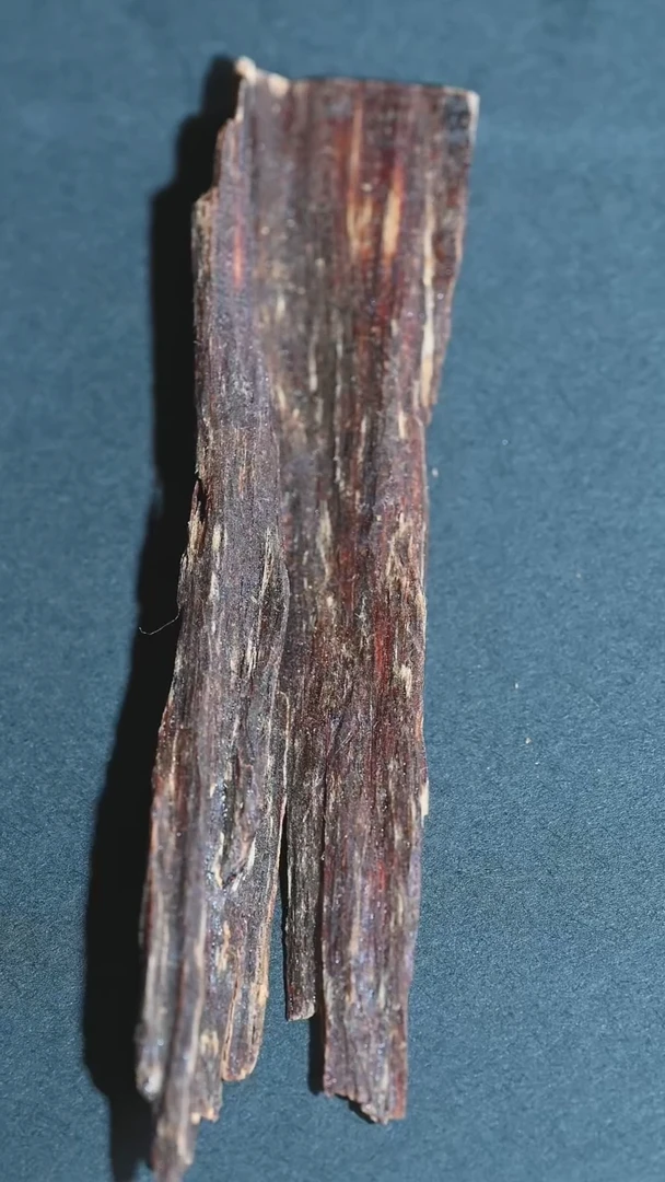 海南黎母山树心排油 1.1克