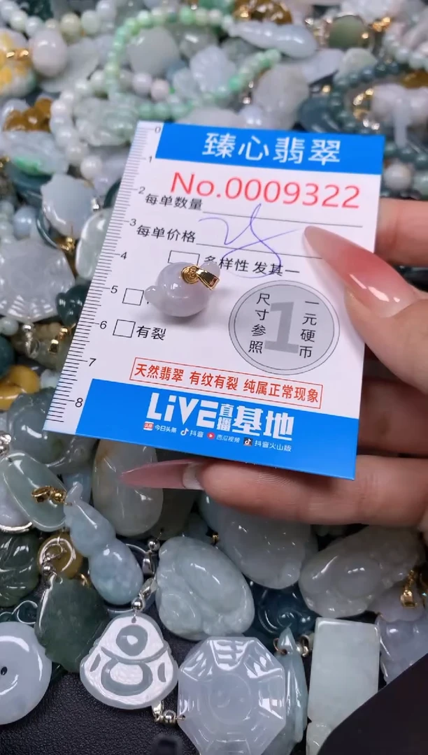 【闪购商品】翡翠颈饰未镶嵌含绳0009322