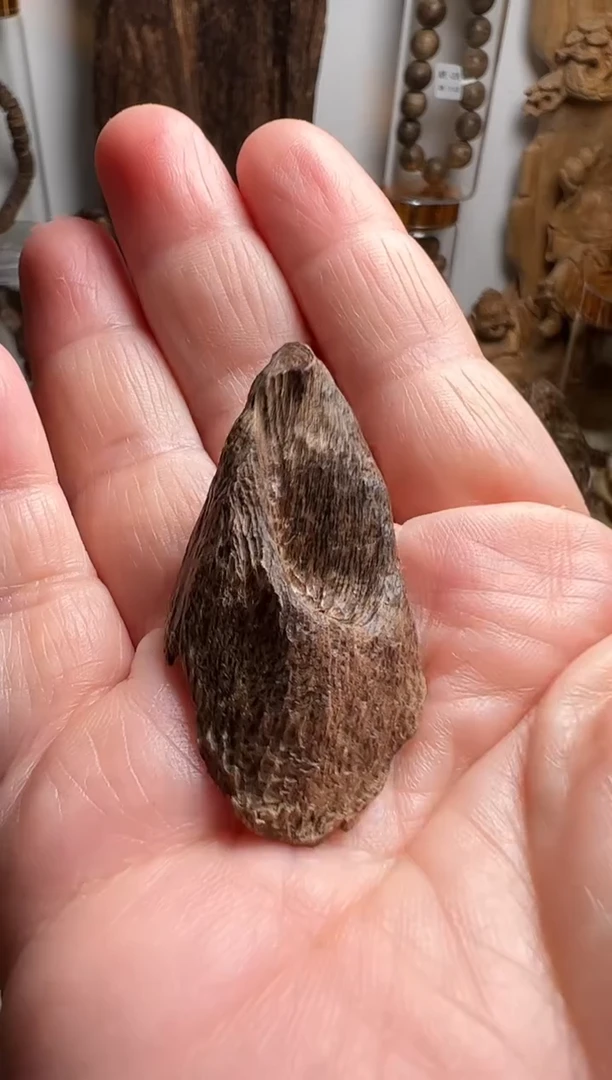 沉香沉香碎屑马泥涝沉是料2.6克