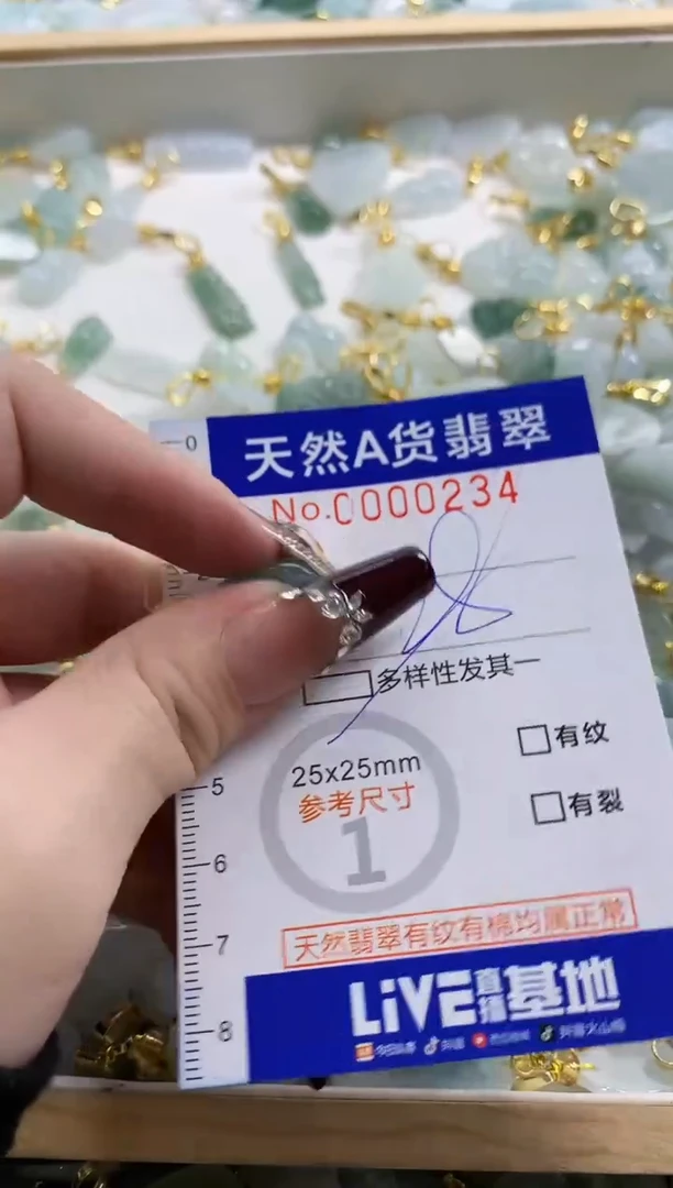 颈饰未镶嵌翡翠天然A货翡翠