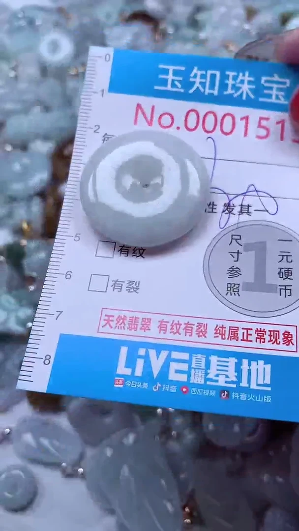 吊坠(不含链)未镶嵌翡翠1513