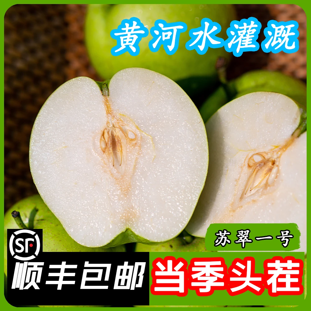 【顺丰包邮】正宗百年阳信苏翠青皮脆梨头茬现摘现发应季时令水果