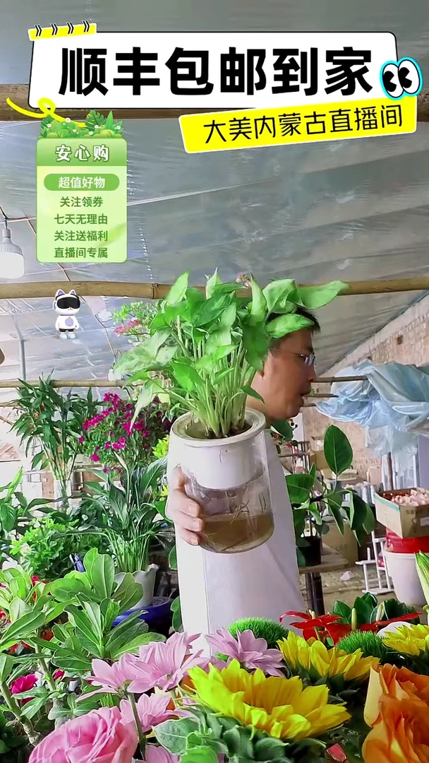 完全开放水培果业于2
