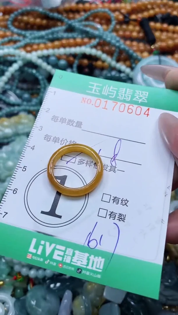 翡翠未镶嵌颈饰闪购0170604多样性发其一