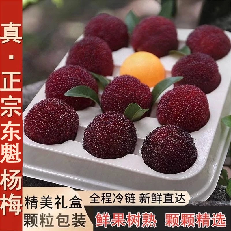 【顺丰发货】正宗浙江仙居东魁杨梅新鲜孕妇当季水果现摘颗粒礼盒装