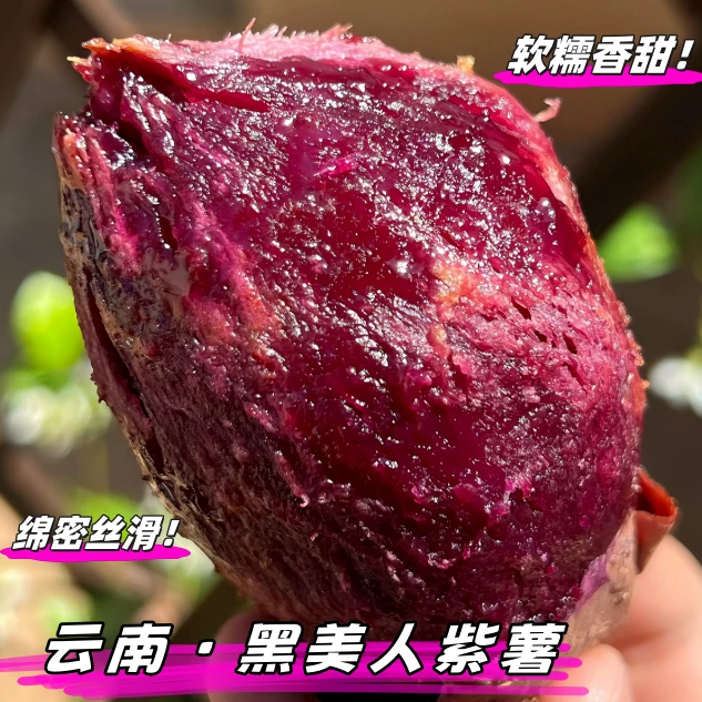[黑美人紫薯]·云南高原糖心黑美人紫薯·软糯香甜不干噎优质粗粮