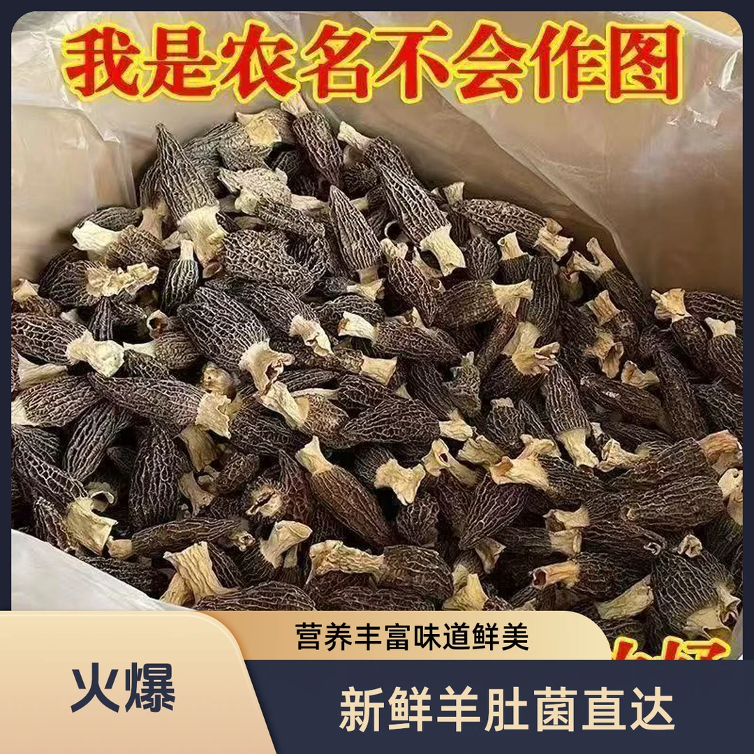 2025年新货羊肚菌新鲜保证3-4cm新鲜羊肚菌火锅农家特级羊肚菌