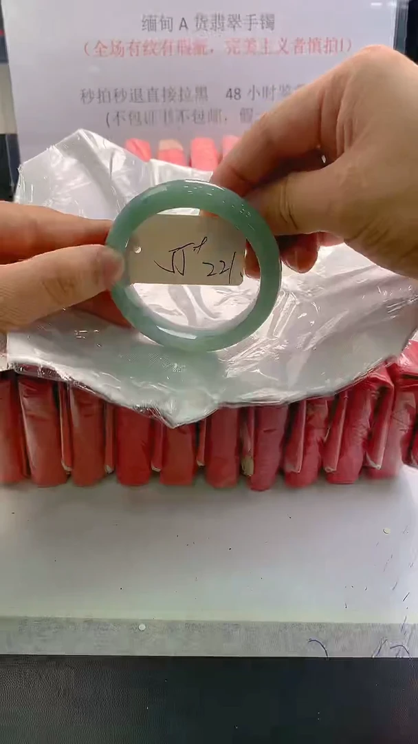 未镶嵌手镯翡翠221