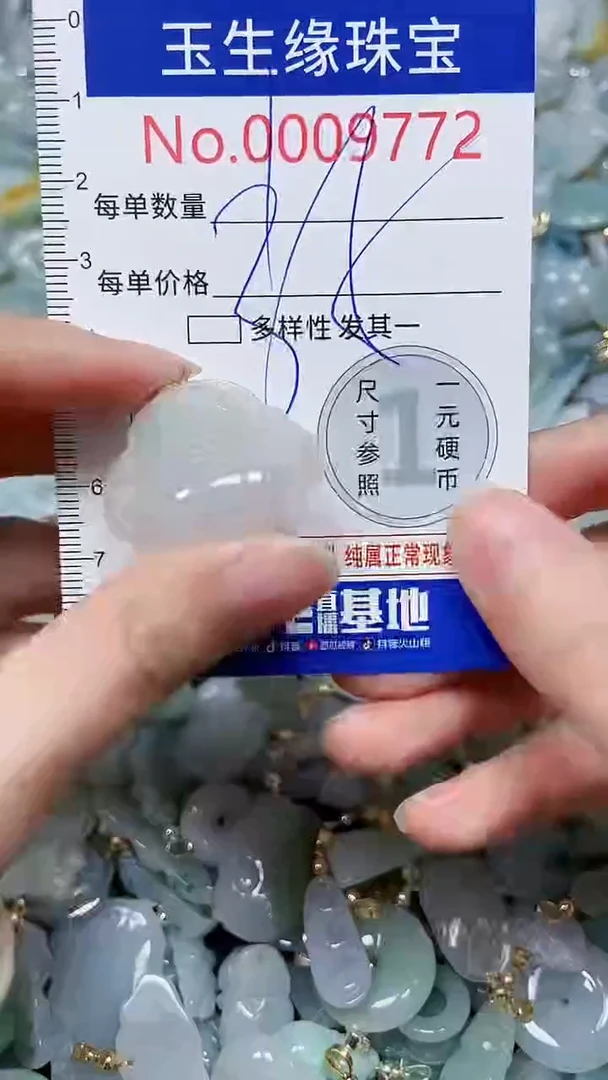 【闪购商品】翡翠颈饰未镶嵌闪购00009772