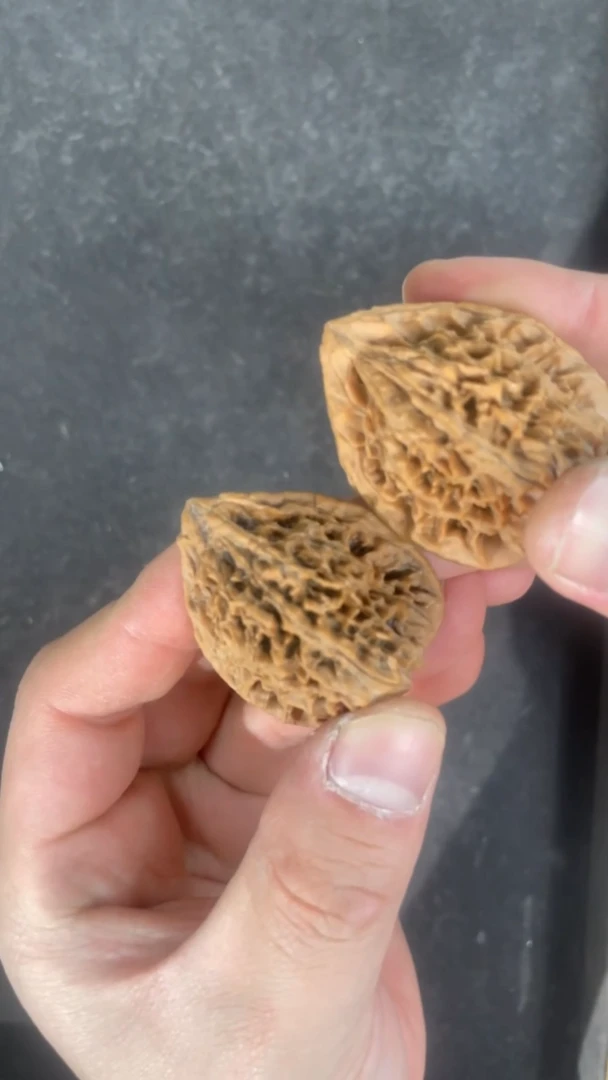 【闪购商品】文玩核桃把件35全品鸭嘴