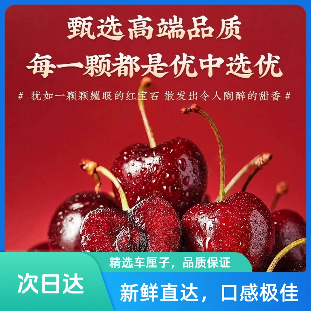 [智利进口桑提娜]车厘子 2斤礼盒装车厘子 2斤礼盒装  1-4J同城配送 顺丰京东邮政次日达HC