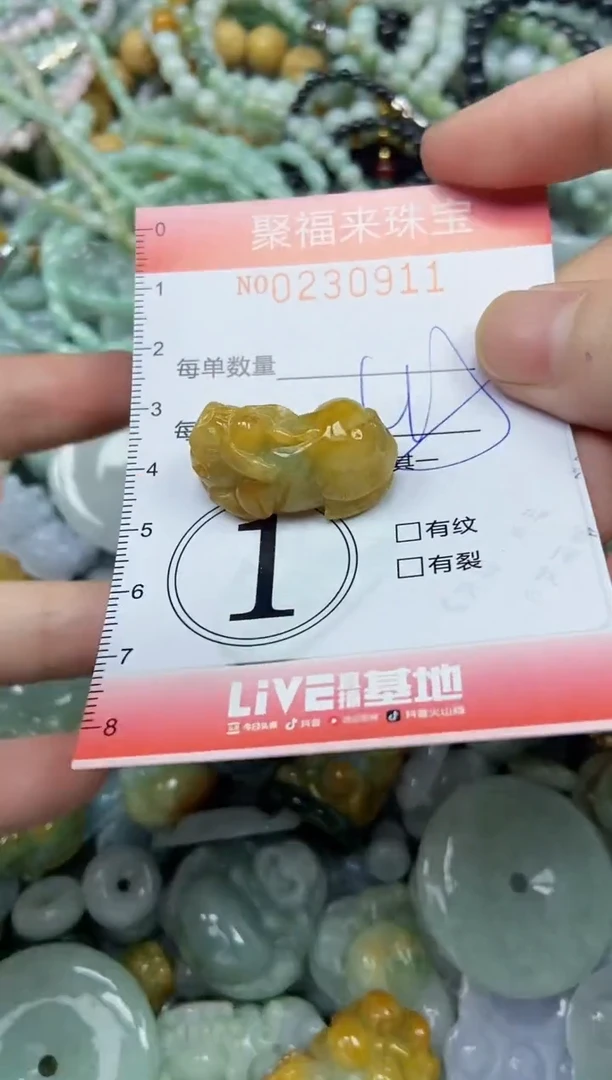 颈饰未镶嵌翡翠闪购0230911