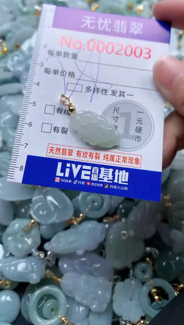 颈饰未镶嵌翡翠2003