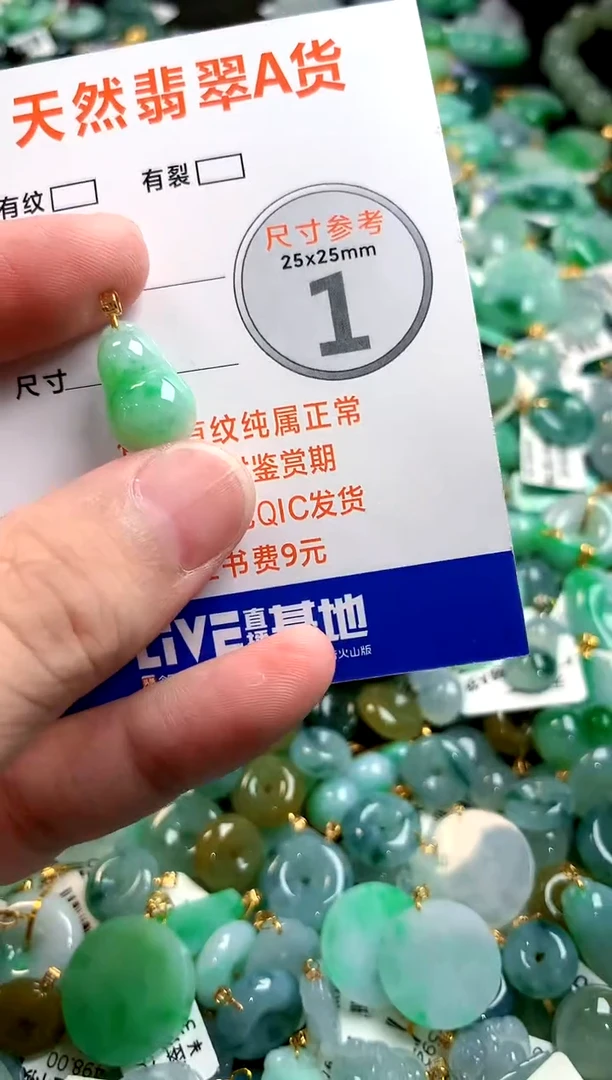 颈饰未镶嵌翡翠0264796607